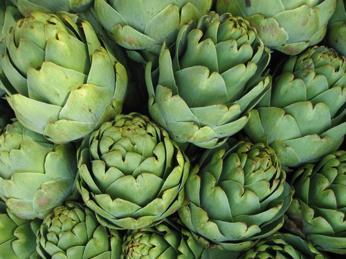 artichokes