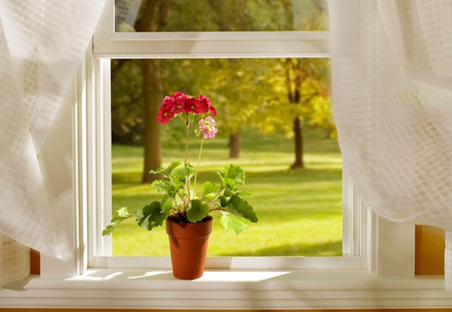 spring through windows 1