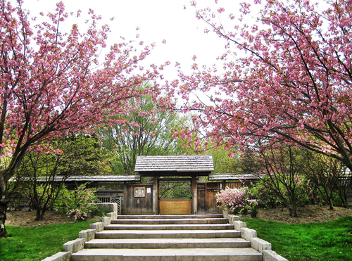 kariya park