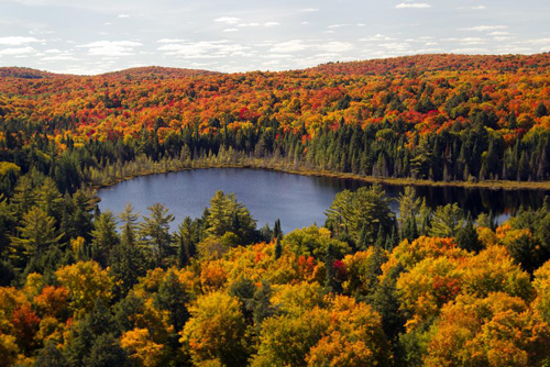 Algonquin Provincial Park