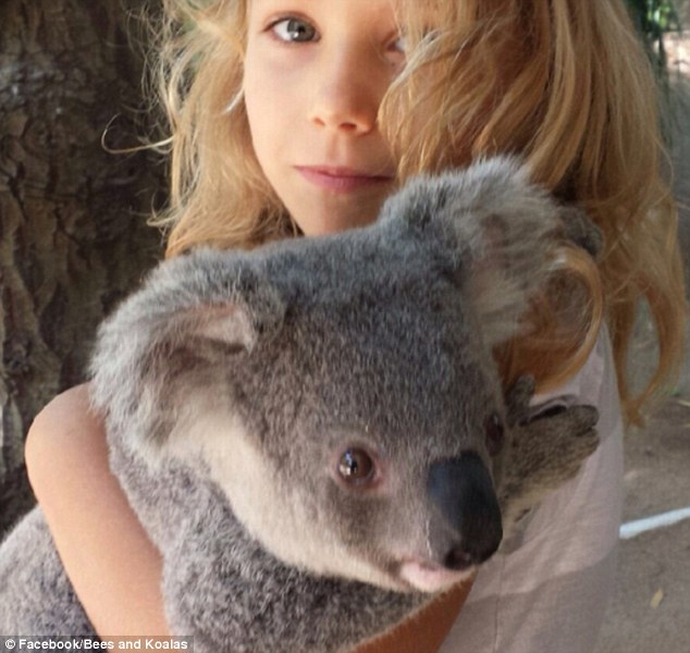 2EB8195400000578 3329946 Izzy Bee cuddling a koala on the Bee family s property in northe a 44 1448258388852