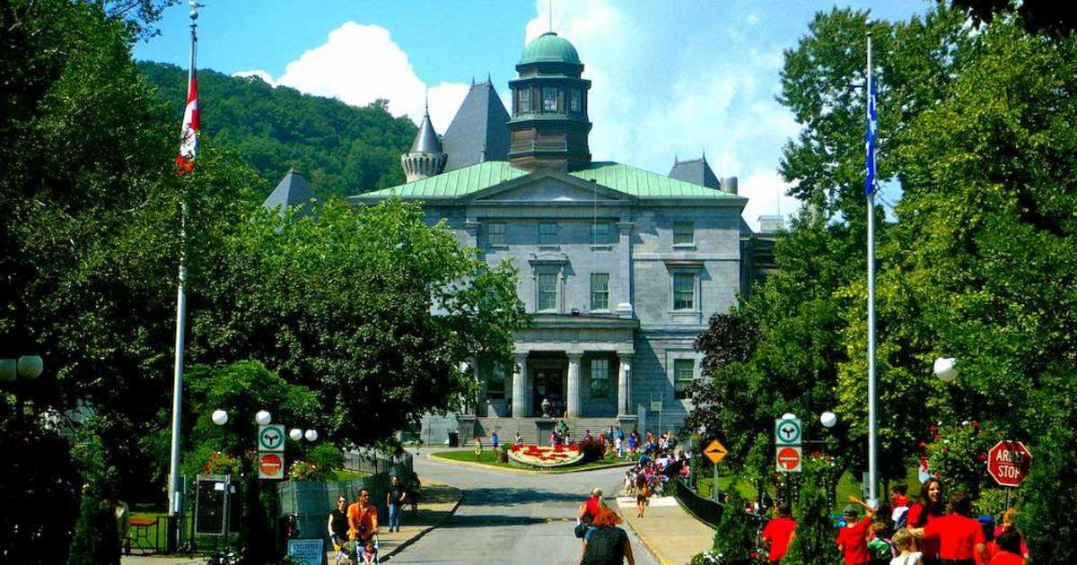 Mcgill university