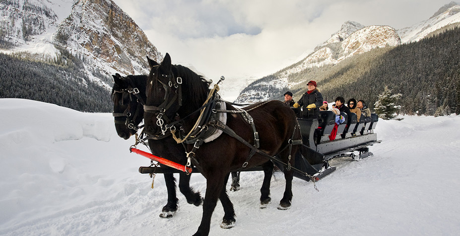 horse drawn sleigh