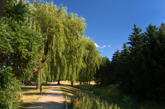 Conley Park