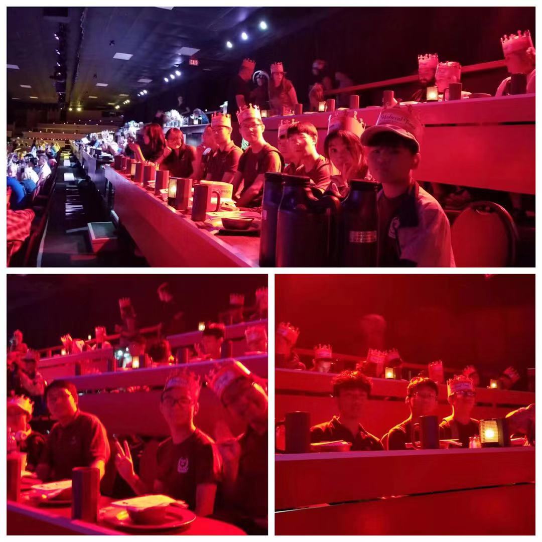 medieval times4