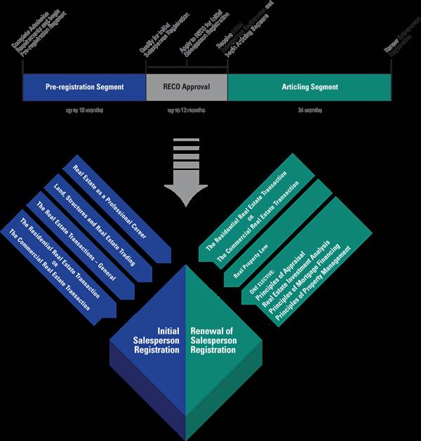 salespersontimelinelearningpath.jpg